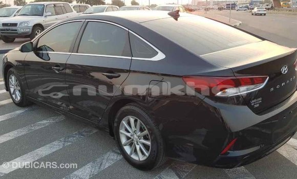Buy Import Hyundai Sonata Black Car in Import - Dubai in Bumthang Buy Import Hyundai Sonata Black Car in Import - Dubai in Bumthang