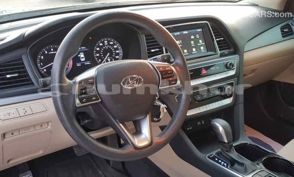 Buy Import Hyundai Sonata Black Car in Import - Dubai in Bumthang Buy Import Hyundai Sonata Black Car in Import - Dubai in Bumthang