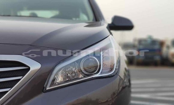 Buy Import Hyundai Sonata Brown Car in Import - Dubai in Bumthang Buy Import Hyundai Sonata Brown Car in Import - Dubai in Bumthang
