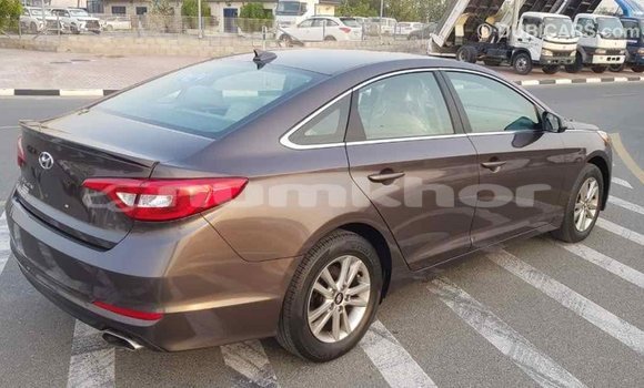 Buy Import Hyundai Sonata Brown Car in Import - Dubai in Bumthang Buy Import Hyundai Sonata Brown Car in Import - Dubai in Bumthang
