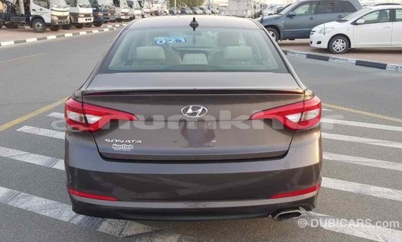 Buy Import Hyundai Sonata Brown Car in Import - Dubai in Bumthang Buy Import Hyundai Sonata Brown Car in Import - Dubai in Bumthang