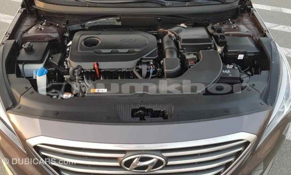 Buy Import Hyundai Sonata Brown Car in Import - Dubai in Bumthang Buy Import Hyundai Sonata Brown Car in Import - Dubai in Bumthang