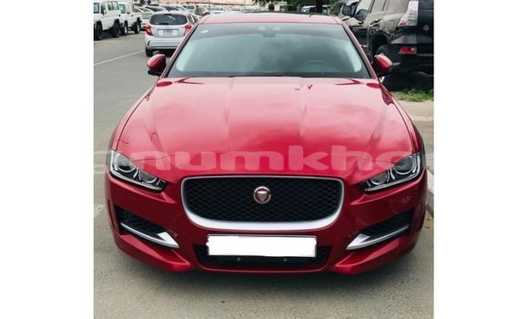 Buy Import Jaguar XE Red Car in Import - Dubai in Bumthang