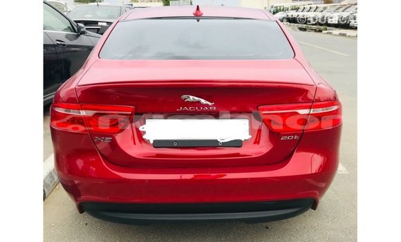 Buy Import Jaguar XE Red Car in Import - Dubai in Bumthang Buy Import Jaguar XE Red Car in Import - Dubai in Bumthang