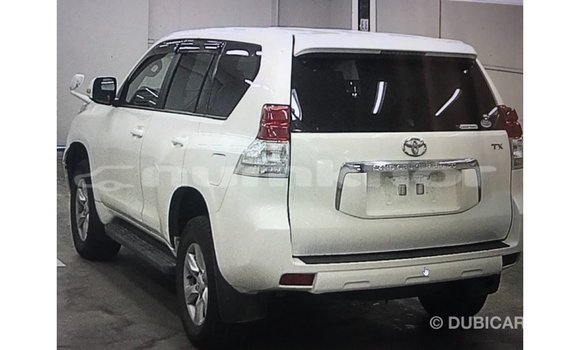 Buy Import Toyota Prado White Car in Import - Dubai in Bumthang Buy Import Toyota Prado White Car in Import - Dubai in Bumthang