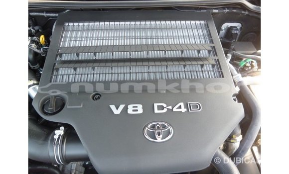 Buy Import Toyota Land Cruiser Black Car in Import - Dubai in Bumthang Buy Import Toyota Land Cruiser Black Car in Import - Dubai in Bumthang