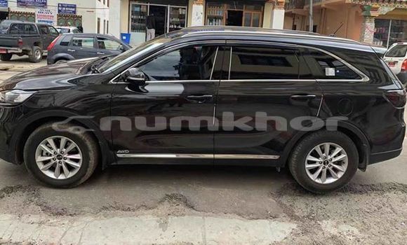 Buy Used Kia Sorento Black Car in Thimphu in Timphu