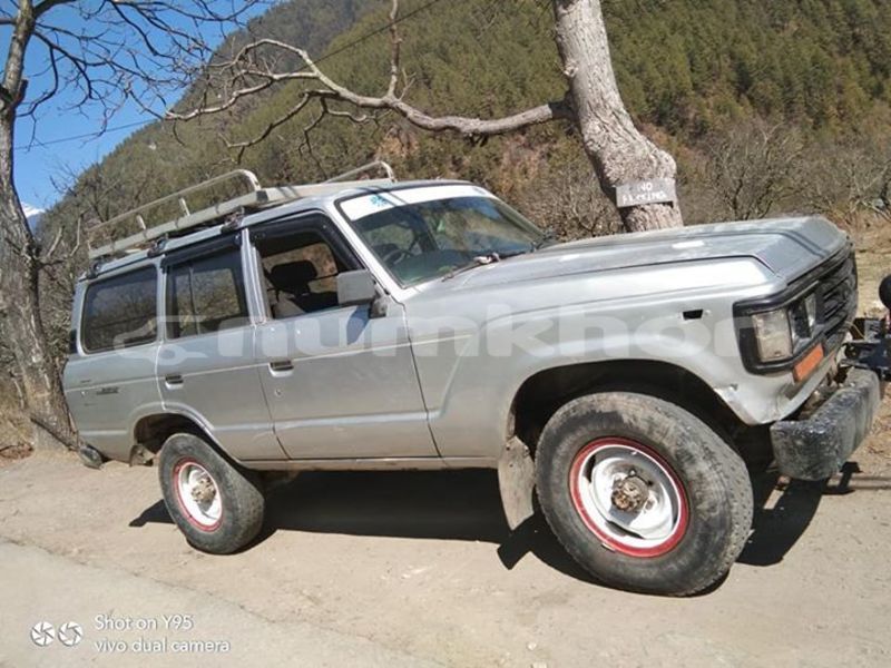 Big with watermark 52696040 1586503391494478 7366603360637550592 n