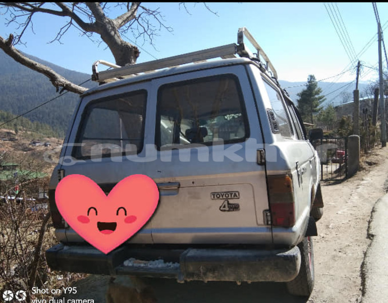 Big with watermark 53212949 1586503354827815 3276568311747313664 n