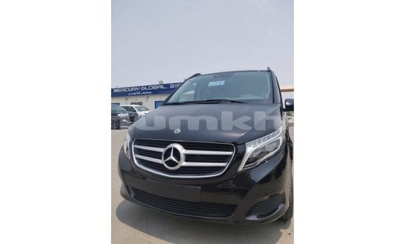 Buy Import Mercedes-Benz 250 Black Car in Import - Dubai in Bumthang Buy Import Mercedes-Benz 250 Black Car in Import - Dubai in Bumthang