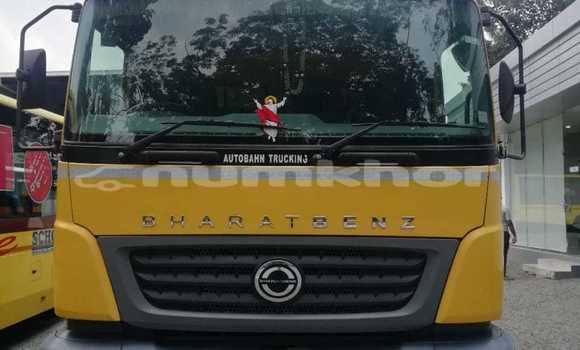 Buy Used Mercedes‒Benz Tipper Other Truck in Ha in Ha