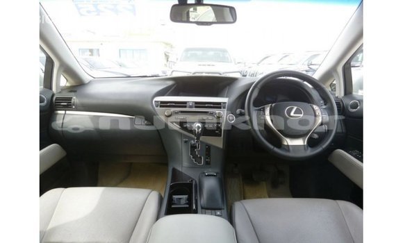 Buy Import Lexus RX Other Car in Import - Dubai in Bumthang Buy Import Lexus RX Other Car in Import - Dubai in Bumthang