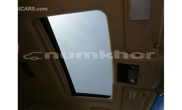 Buy Import Lexus LX Blue Car in Import - Dubai in Bumthang Buy Import Lexus LX Blue Car in Import - Dubai in Bumthang