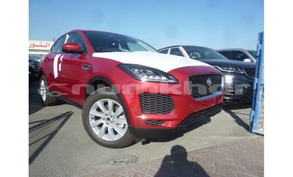 Buy Import Jaguar E-Pace Red Car in Import - Dubai in Bumthang