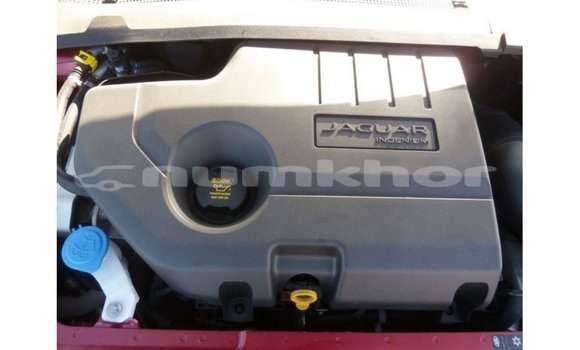 Buy Import Jaguar E-Pace Red Car in Import - Dubai in Bumthang Buy Import Jaguar E-Pace Red Car in Import - Dubai in Bumthang