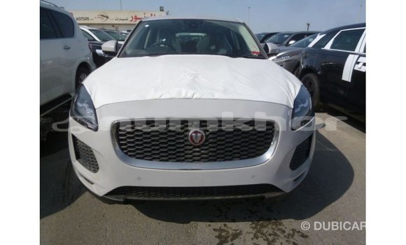 Buy Import Jaguar E-Pace White Car in Import - Dubai in Bumthang Buy Import Jaguar E-Pace White Car in Import - Dubai in Bumthang