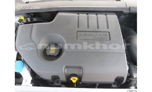 Buy Import Jaguar E-Pace White Car in Import - Dubai in Bumthang Buy Import Jaguar E-Pace White Car in Import - Dubai in Bumthang