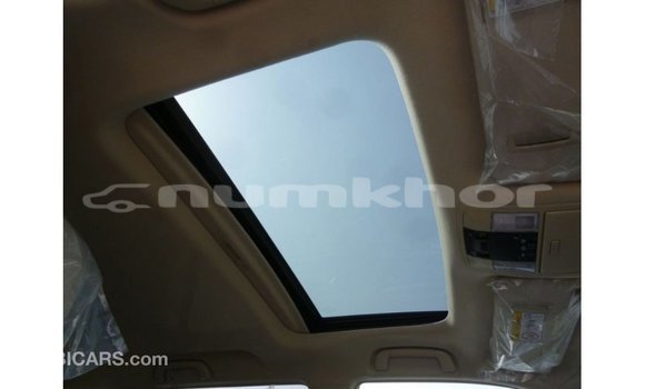 Buy Import Toyota Prado Brown Car in Import - Dubai in Bumthang Buy Import Toyota Prado Brown Car in Import - Dubai in Bumthang