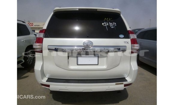 Buy Import Toyota Prado White Car in Import - Dubai in Bumthang Buy Import Toyota Prado White Car in Import - Dubai in Bumthang