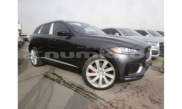 Buy Import Jaguar F-Type Black Car in Import - Dubai in Bumthang