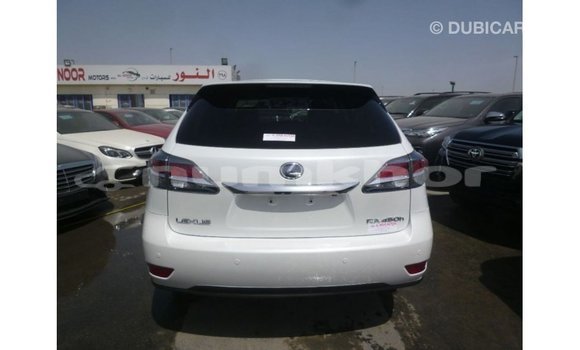 Buy Import Lexus RX White Car in Import - Dubai in Bumthang Buy Import Lexus RX White Car in Import - Dubai in Bumthang