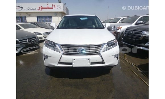 Buy Import Lexus RX White Car in Import - Dubai in Bumthang Buy Import Lexus RX White Car in Import - Dubai in Bumthang