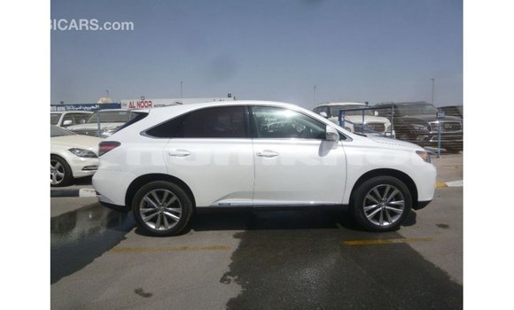 Buy Import Lexus RX White Car in Import - Dubai in Bumthang Buy Import Lexus RX White Car in Import - Dubai in Bumthang