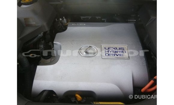 Buy Import Lexus RX White Car in Import - Dubai in Bumthang Buy Import Lexus RX White Car in Import - Dubai in Bumthang