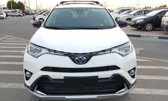 Buy Import Toyota RAV4 White Car in Import - Dubai in Bumthang Buy Import Toyota RAV4 White Car in Import - Dubai in Bumthang