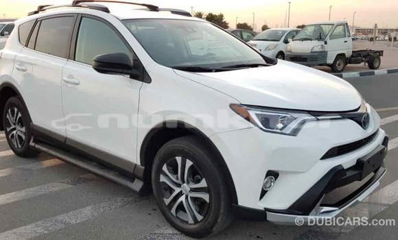 Buy Import Toyota RAV4 White Car in Import - Dubai in Bumthang Buy Import Toyota RAV4 White Car in Import - Dubai in Bumthang