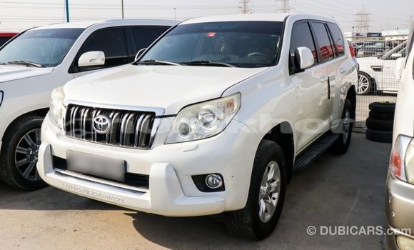 Buy Import Toyota Prado White Car in Import - Dubai in Bumthang Buy Import Toyota Prado White Car in Import - Dubai in Bumthang