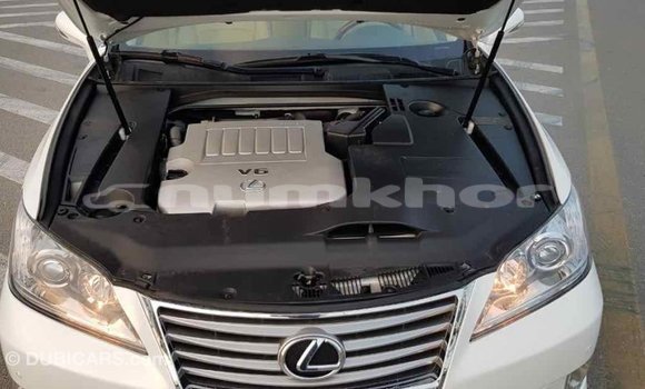 Buy Import Lexus ES White Car in Import - Dubai in Bumthang