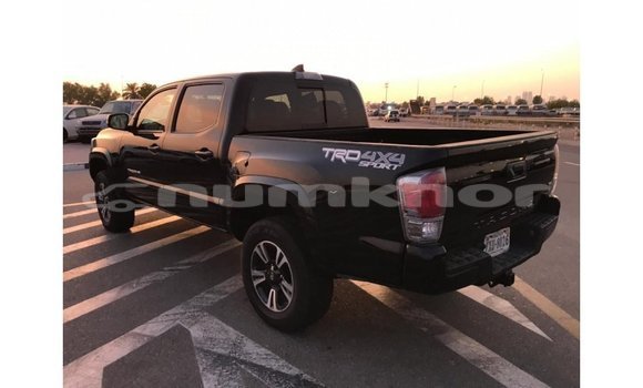 Buy Import Toyota Tacoma Black Car in Import - Dubai in Bumthang Buy Import Toyota Tacoma Black Car in Import - Dubai in Bumthang