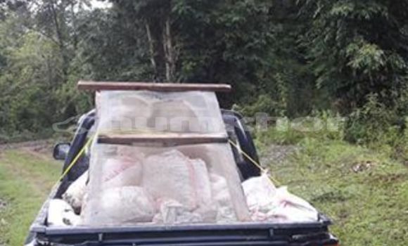 Buy Used Toyota Hilux Black Car in Punakha in Punakha Buy Used Toyota Hilux Black Car in Punakha in Punakha