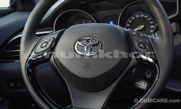 Buy Import Toyota C-HR Other Car in Import - Dubai in Bumthang Buy Import Toyota C-HR Other Car in Import - Dubai in Bumthang