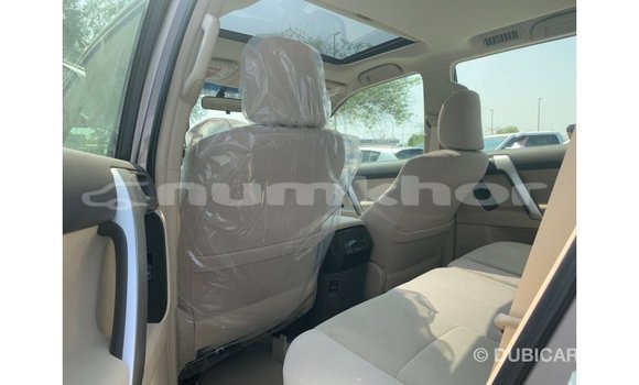 Buy Import Toyota Prado Brown Car in Import - Dubai in Bumthang Buy Import Toyota Prado Brown Car in Import - Dubai in Bumthang