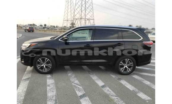 Buy Import Toyota Highlander Black Car in Import - Dubai in Bumthang Buy Import Toyota Highlander Black Car in Import - Dubai in Bumthang