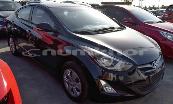 Buy Import Hyundai Elantra Black Car in Import - Dubai in Bumthang Buy Import Hyundai Elantra Black Car in Import - Dubai in Bumthang