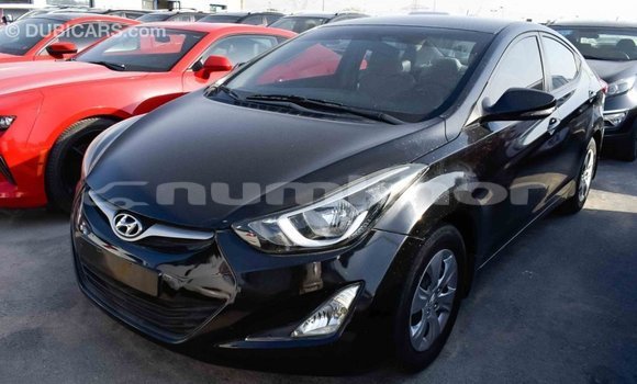 Buy Import Hyundai Elantra Black Car in Import - Dubai in Bumthang Buy Import Hyundai Elantra Black Car in Import - Dubai in Bumthang