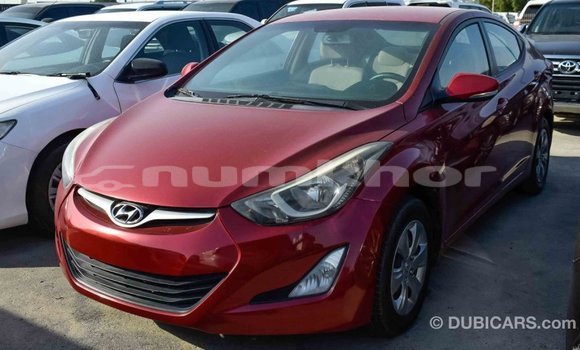 Buy Import Hyundai Elantra Red Car in Import - Dubai in Bumthang Buy Import Hyundai Elantra Red Car in Import - Dubai in Bumthang