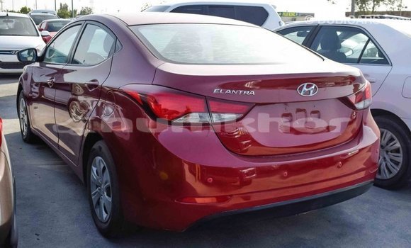 Buy Import Hyundai Elantra Red Car in Import - Dubai in Bumthang Buy Import Hyundai Elantra Red Car in Import - Dubai in Bumthang