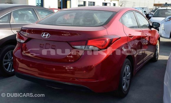 Buy Import Hyundai Elantra Red Car in Import - Dubai in Bumthang Buy Import Hyundai Elantra Red Car in Import - Dubai in Bumthang