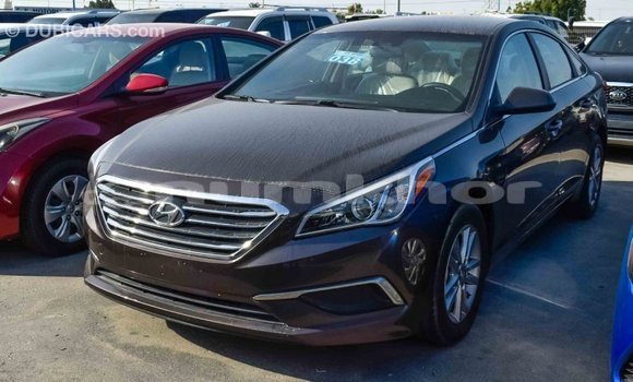 Buy Import Hyundai Sonata Brown Car in Import - Dubai in Bumthang Buy Import Hyundai Sonata Brown Car in Import - Dubai in Bumthang