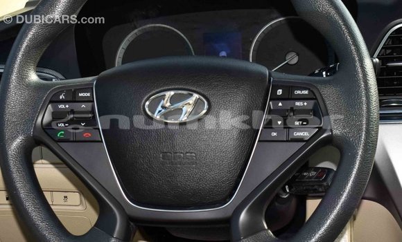Buy Import Hyundai Sonata Brown Car in Import - Dubai in Bumthang Buy Import Hyundai Sonata Brown Car in Import - Dubai in Bumthang