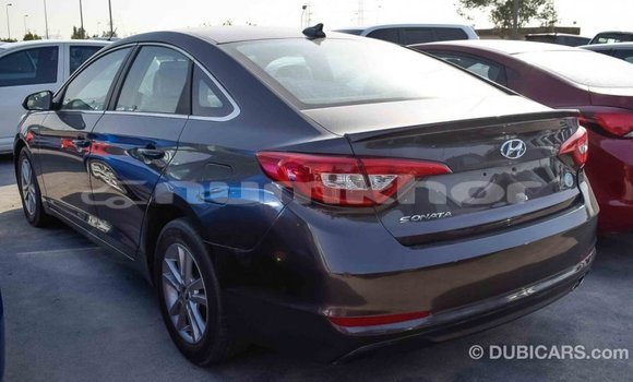 Buy Import Hyundai Sonata Brown Car in Import - Dubai in Bumthang Buy Import Hyundai Sonata Brown Car in Import - Dubai in Bumthang