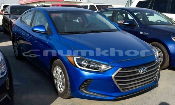 Buy Import Hyundai Elantra Blue Car in Import - Dubai in Bumthang Buy Import Hyundai Elantra Blue Car in Import - Dubai in Bumthang