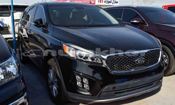 Buy Import Kia Sorento Black Car in Import - Dubai in Bumthang Buy Import Kia Sorento Black Car in Import - Dubai in Bumthang
