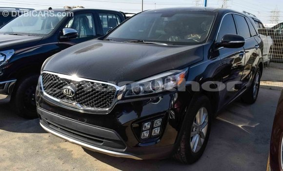 Buy Import Kia Sorento Black Car in Import - Dubai in Bumthang Buy Import Kia Sorento Black Car in Import - Dubai in Bumthang