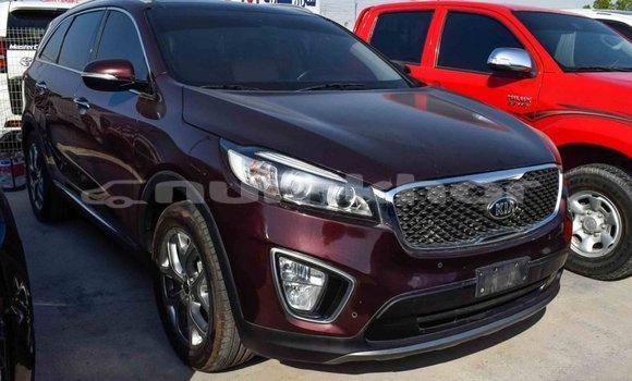 Buy Import Kia Sorento Brown Car in Import - Dubai in Bumthang Buy Import Kia Sorento Brown Car in Import - Dubai in Bumthang