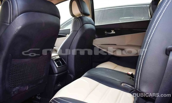 Buy Import Kia Sorento Brown Car in Import - Dubai in Bumthang Buy Import Kia Sorento Brown Car in Import - Dubai in Bumthang